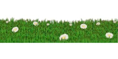 Computer image of beautiful chamomile field with white and yellow flowers among the grass