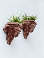 ceramic pots with flowers on the wall