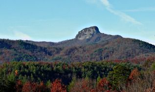 autumn forest near a mountain in north carolina