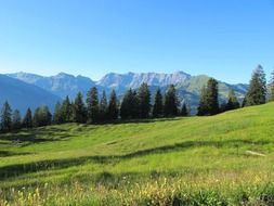 nature green mountains