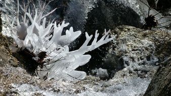 ice in the mountains as a work of art