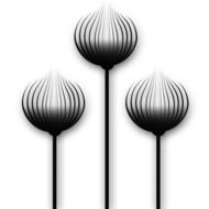 graphic image of silhouettes of flowers in the form of bulbs