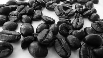 aromatic coffee in beans