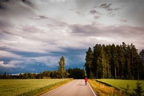 cyclist on a road