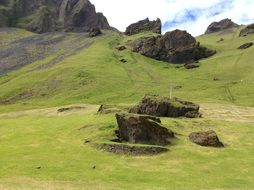 Green grass on a rocks