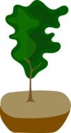 drawing of a green bonsai tree