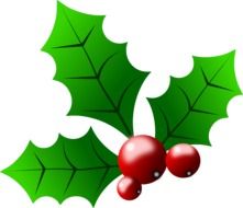 drawing of green holly leaves