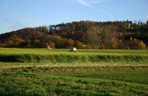 harvest field