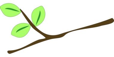 graphic drawing of a tree branch with leaves