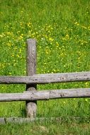 wooden fence meadow green field nature