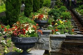 landscape of garden colorful flowers in big stone pots