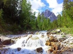 scenic landscape of mountain and foamy water flow on rocky bed in forest, italy, south tyrol