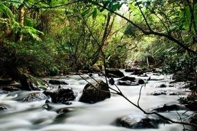 nature rapids