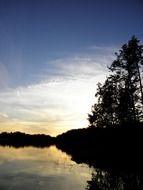 tree silhouette at finnish sunset, saimaa, finland