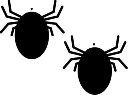 bugs insect drawing
