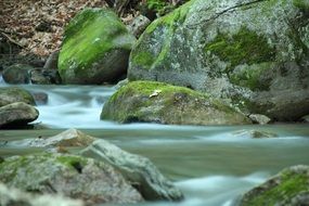 green rocks in water stream