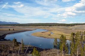 curly river in the yellowstone national park