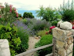 Stones and flowers in the garden