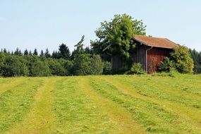 field barn meadow