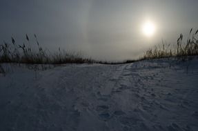 The sun over the field at dusk