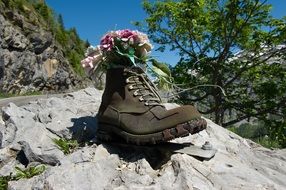 shoe with flowers in mountain path