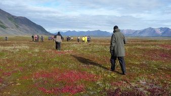 walks of people among the bright steppe