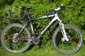 mountain bike near green bush