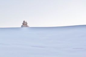 snow magic on the field