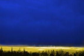dark blue sky over golden nature
