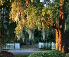 park entrance fence