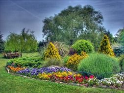 colorful flowerbed with plants and flowers