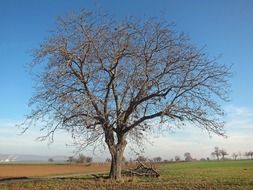 scenic landscape of bavaria germany