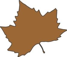 graphic image of brown maple leaf