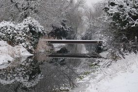 bridge over winter creek