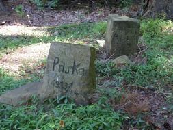 Picture of gravestones for dogs