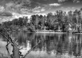 fraser river black white landscape