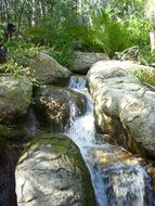 rocky forest, beautiful waterfall