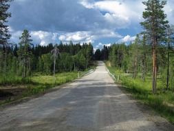 road through the woods in Finland