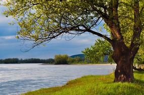 calm river in a beautiful green place