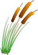 graphic image of reeds