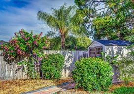 countryside fence with flowers colorful scenery