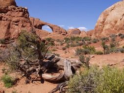 wilson arch in the arches national park