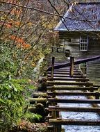 wooden cabin in the autumn forest in the countryside