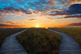 two wooden paths at sunrise