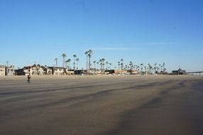 palm trees and villas at sand coast, usa, california