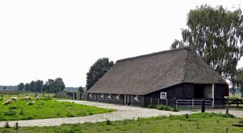 breathtaking netherlands landscape