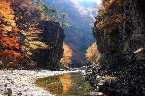 Stream between the rocks in the fall