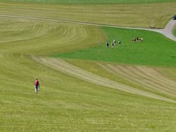 people among the endless field