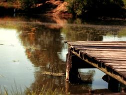 wooden pier near the water