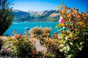 lake, new zealand